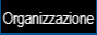 Organizzazione